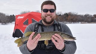 Underwater camera vs. sonar for ice fishing