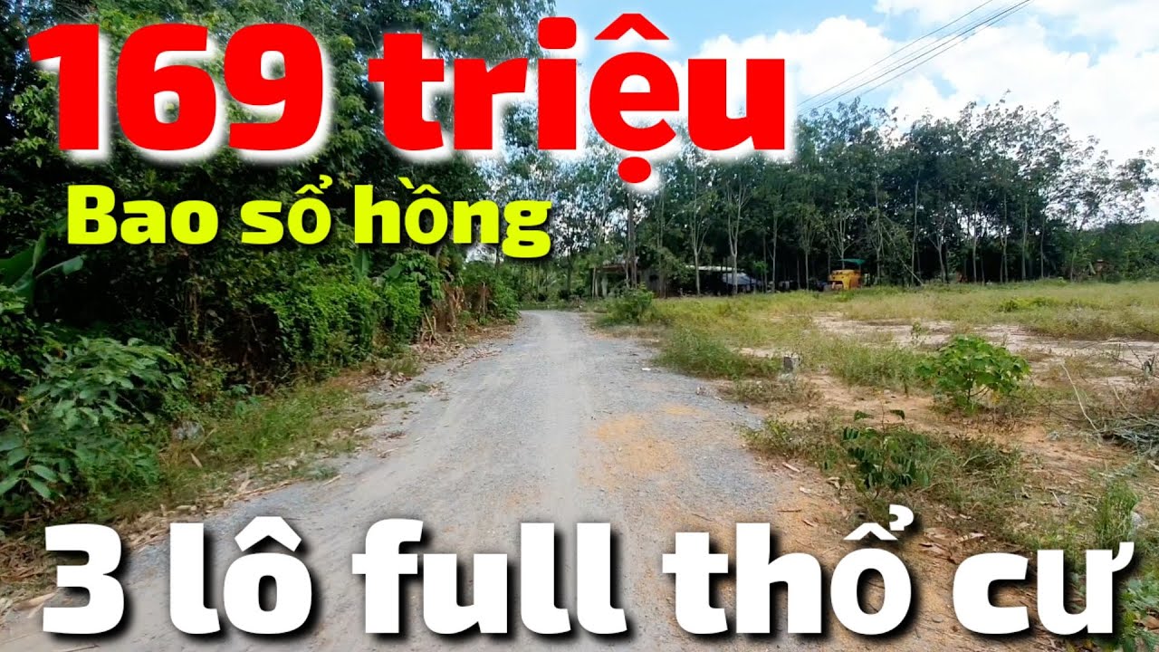 Bán 3 lô đất thổ cư 169 triệu giá rẻ xây nhà ở gần suối An Cơ Châu Thành Tây Ninh bao sổ hồng riêng