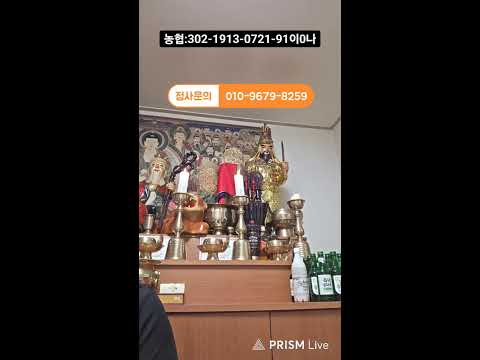 장군도사  라이브 방송