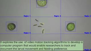 EFSB (Eggplant Fruit and Shoot Borer) Motion Tracking Software screenshot 4