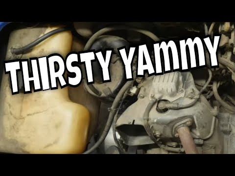 Yamaha G14 Engine Rebuild Kit