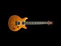 Carlos Santana I Love You Much Too Much Backing Track mp3