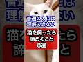 猫を飼ったら諦めること8選を獣医師が解説 #保護猫 #獣医師 #cat #猫 #ネコ #ねこ #ねこのいる生活 #猫のいる暮らし #猫動画 #愛猫 #猫好きさんと繋がりたい