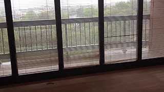 Water Park Towers Apartments - Crystal City Arlington VA - 1 Bedroom P