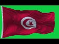 Tunisia Flag Waving GREEN SCREEN CHROMA MATTE 