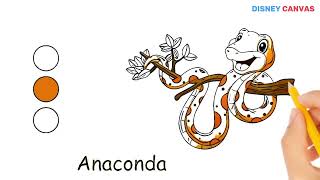 Drawing and Coloring Anaconda For Kids