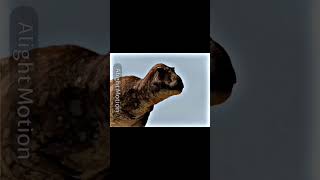 Tarbosaurus Vs Carnotaurus Irl Face-Off