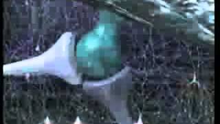 BEYİN SÜPER BİLGİSAYAR