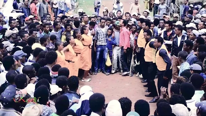 Debebe Ademe: Dibaabee * NEW * 2017 Oromo Music by RAYA Studio