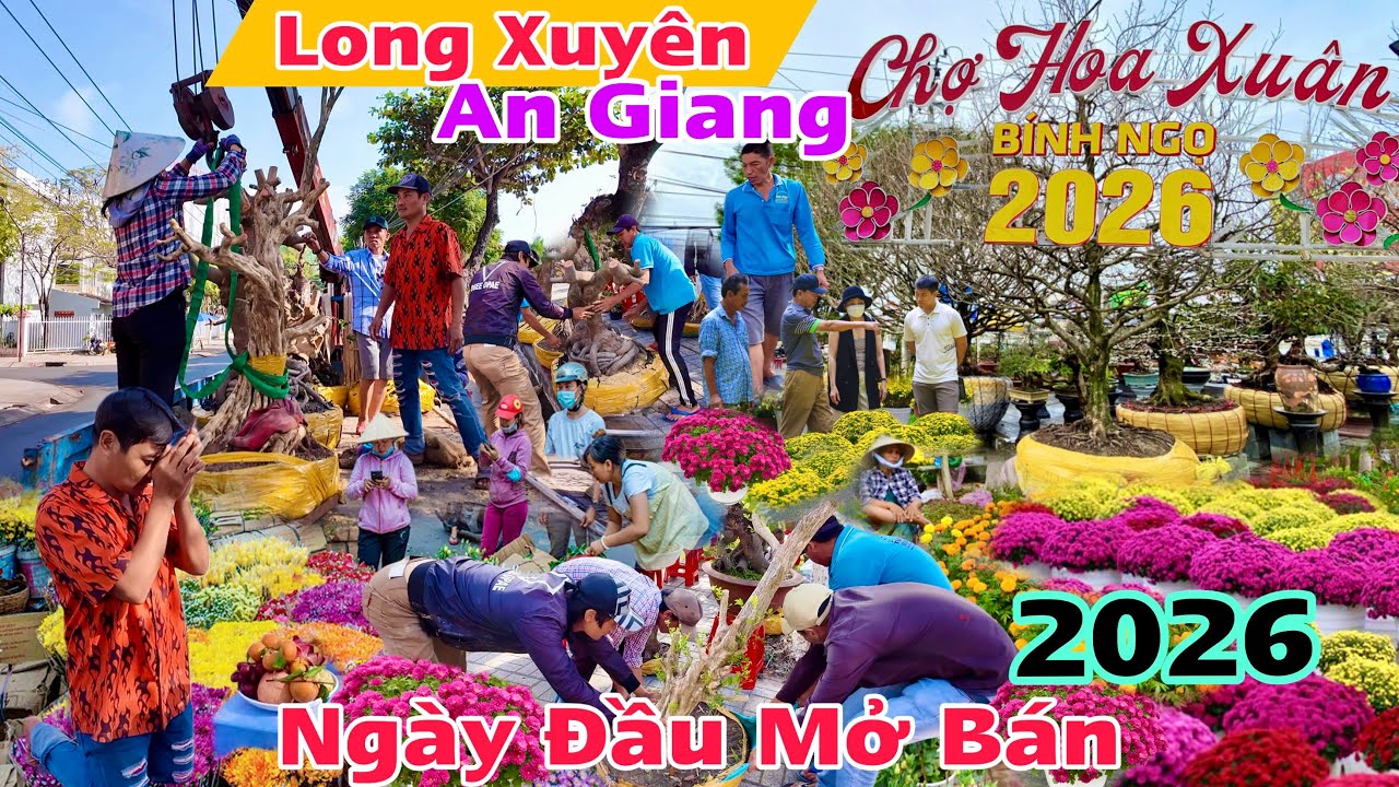 Chợ Hoa Xuân Long Xuyên An Giang 2026 ngày đầu mở bán lên toàn hàng bon sai khủng hoa đủ loại đẹp