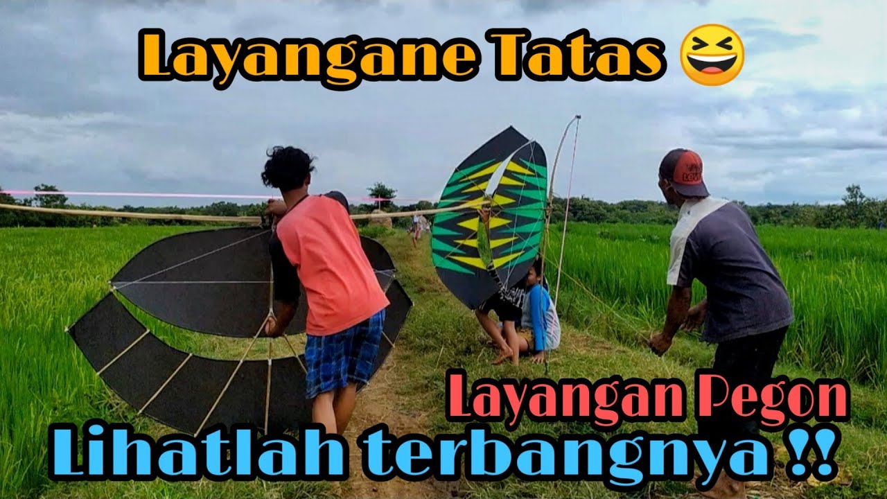 Main Layangan Main Layangan di Sawah | Hobi bermain Layangan. - YouTube
