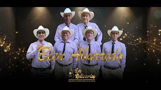 Los Relicarios - Bien Aburrido