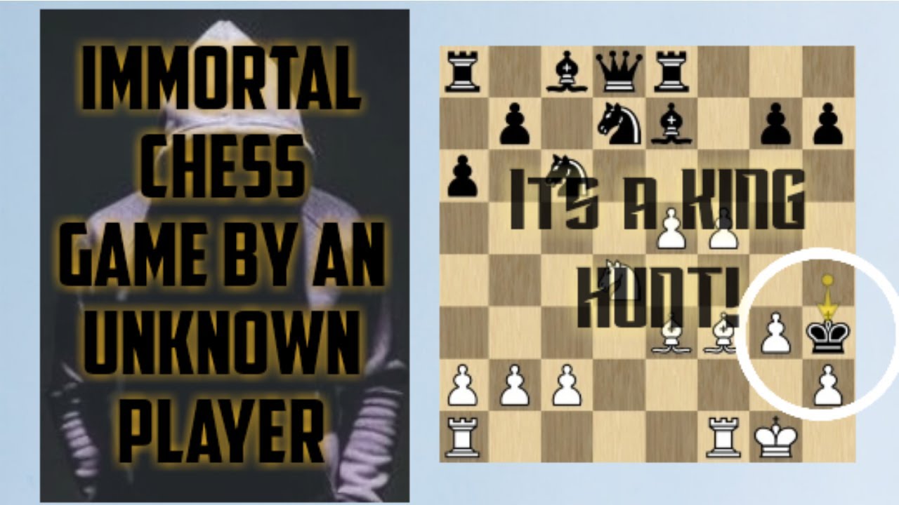 IMMORTAL GAME PLAYED BY AN UNKNOWN PLAYER | Its A King Hunt Game | SKYEchess