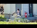 庭作業中、何してるかなとスマホの望遠使ったら乗ってた