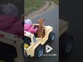 Cute dog and little girl in a buggy