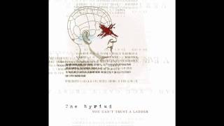 Video thumbnail of "The Myriad - A New Language"