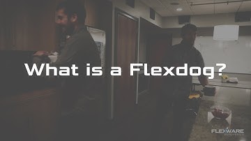 What is a Flexdog? - Flexware Innovation
