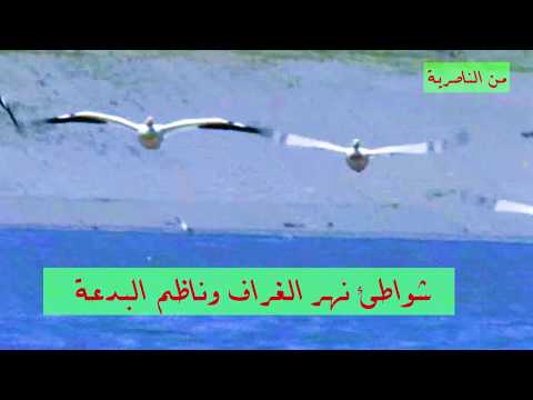 اغنية ينطر واراويك ... حسين نعمة