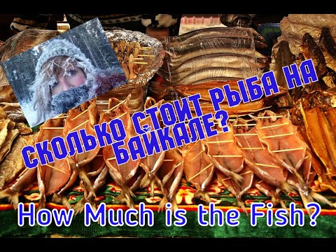 How Much Is the Fish? / Узнаём сколько стоит Омуль на рынке Байкала!