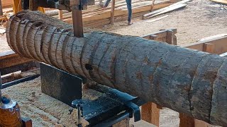 Double Sawing of Super Hard Coconut Tree Roots – You Won’t Believe the Result!