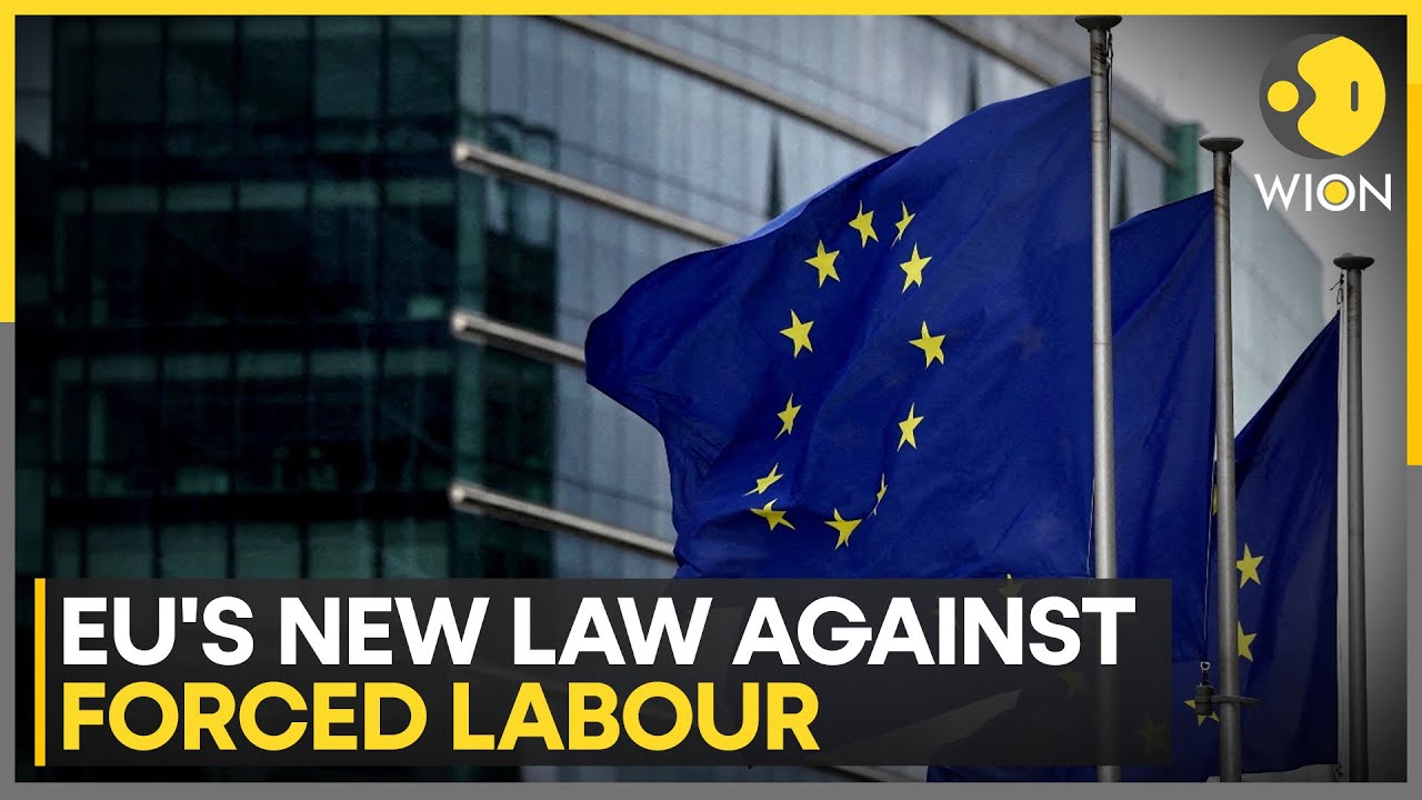 EU's law against forced labour worries China | World News | WION - YouTube