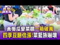 黃櫛瓜變菜鑽「一箱破萬」！？大雨高溫夾殺農損...四季豆翻倍漲菜籃族嚇壞【民怨調查局】