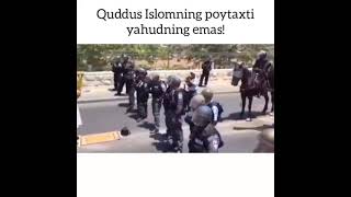 #prayforpalestina🤲Quddus😊🤲Yaqinlringizga ham ulashing!Fikirizi komentda kutaman.