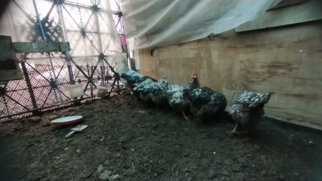 Пушкин тоокторунун жаңыланган бөлмөсү.