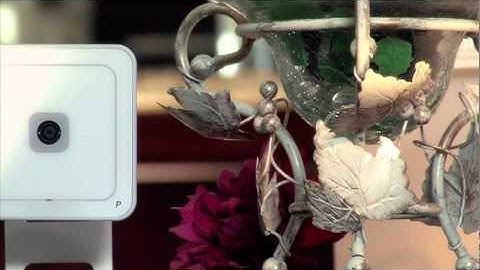 Interactive Security Systems