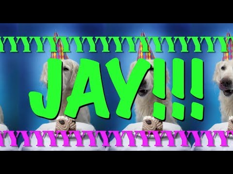 happy-birthday-jay!---epic-happy-birthday-song