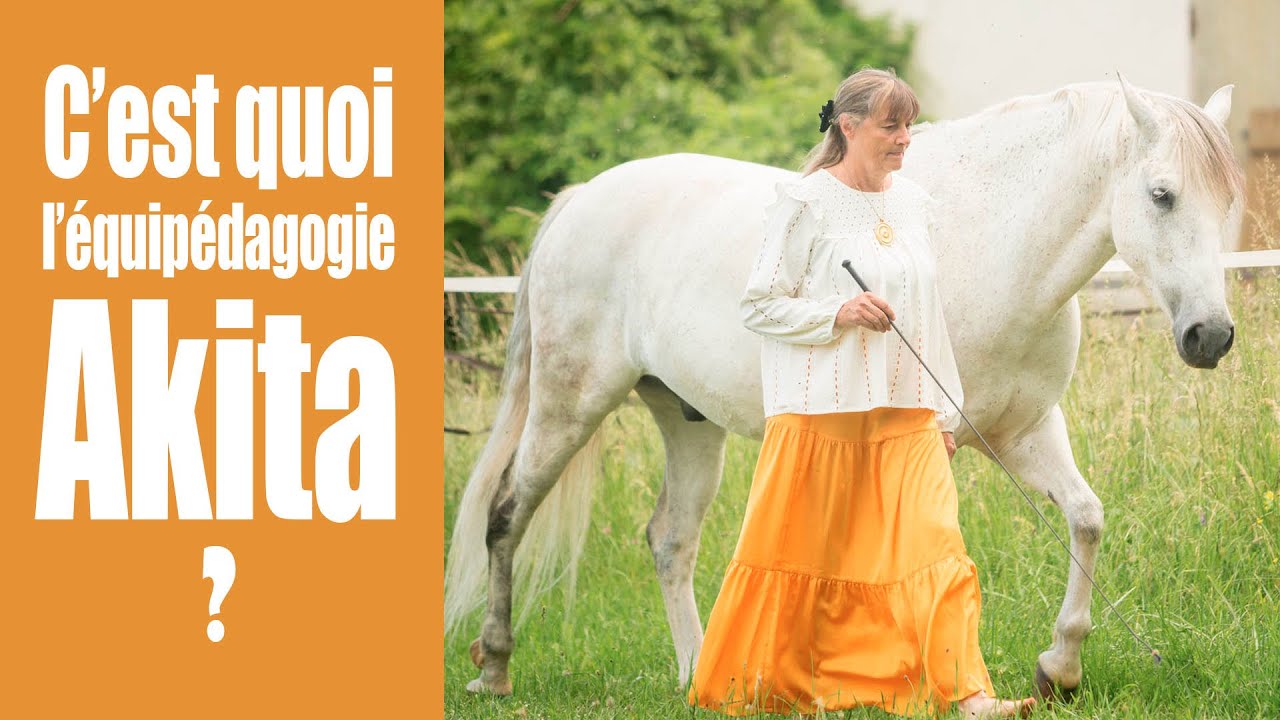 Lorsqu'une difficulté se transforme en force utile pour l'ensemble