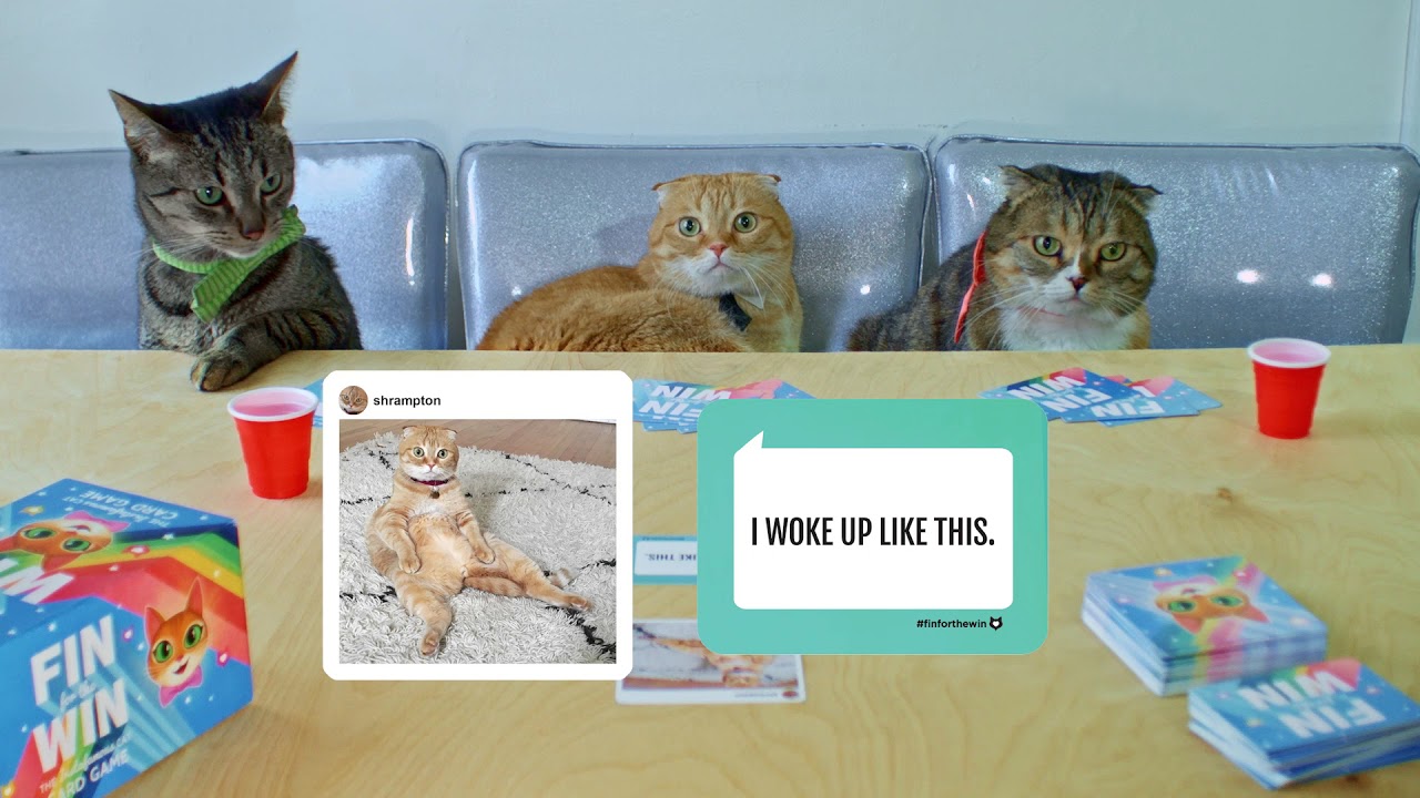 Fin For The Win: The Instafamous Cat Card Game