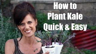 How to Plant Kale and Why to Plant it - Quick and Easy!