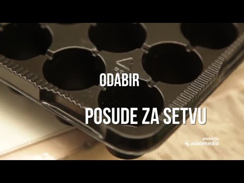 Video: Kako Odabrati Polje Aktivnosti