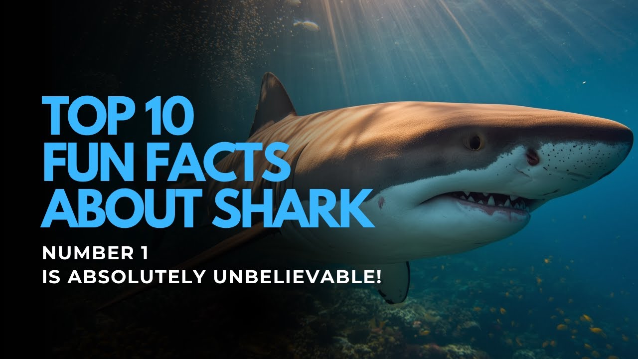 Top 10 Fascinating Shark Facts | Things You Didn’t Know!