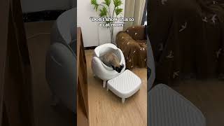 A self-cleaning litter box #catlink #automaticlitterbox #litterbox #cat #catlitterbox
