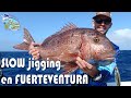 SLOW jigging en FUERTEVENTURA