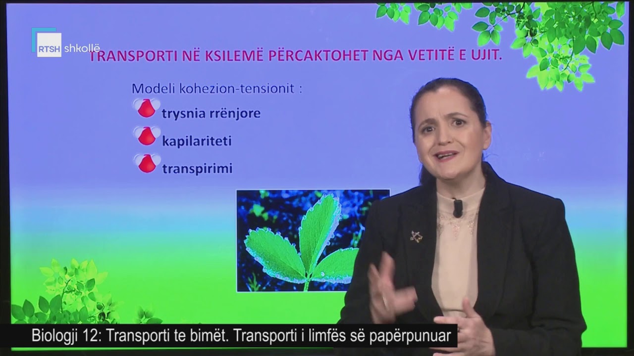 Biologji 12 - Transporti te bimët. Transporti i limfës së papërpunuar.
