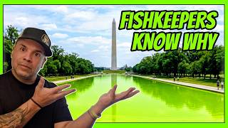 GREEN ALGAE Aquarium WATER The Answer AMERICA Needs