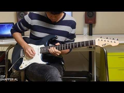 コンポーネントギター　スナッパータイプ SNAPPER-CTM24-FR-FM-M-INDIGO-