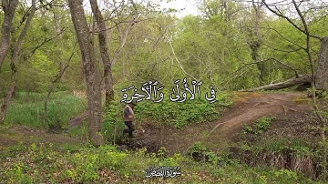 وهو الله لا إله إلا هو له الحمد في الأولى والآخرة وله الحكم وإليه ترجعون | #المنشاوي #قرآن #تلاوة