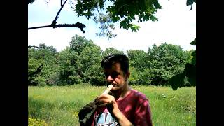 De Schlafe, Mein Prinzchen, Schlaf Ein - Johann Friedrich Anton Fleischmann