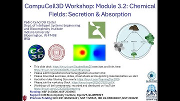 CompuCell3D WS 2025: 3.2: Cell Secretion and Absorption into Fields [Pedro dal Castel] July 30, 2025