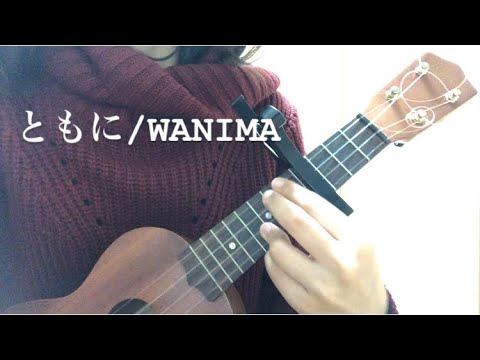【ウクレレ始めて191日目】ともに/WANIMA