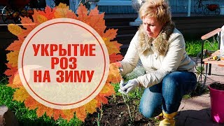 видео Жалюзи: популярные заблуждения