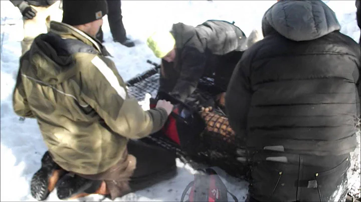 MI DNR Deer Trapping/Tagging