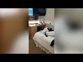 Blog details life in coronavirus quarantine in Milton Keynes
