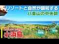 【小浜島/沖縄】石垣島から船で30分!緑豊かな南国リゾート島をご紹介!「八重山諸島」【観光•旅行ガイド】