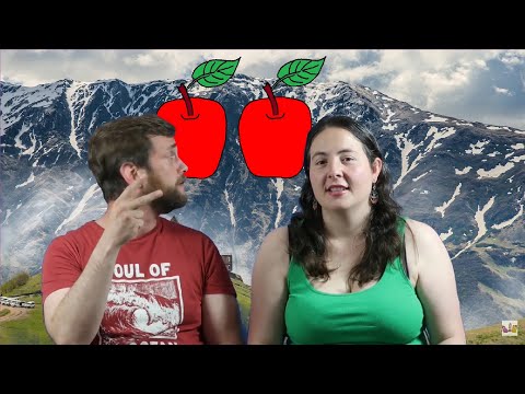 Learn Georgian with Georgian2go - Plural I (5) #learngeorgianlanguage #georgisch #speakgeorgian