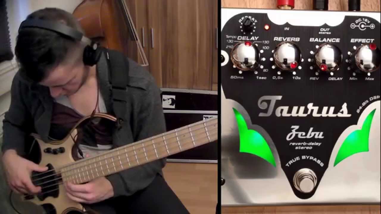 Taurus "Zebu" Reverb & Delay Pedal Demo (Stereo)
